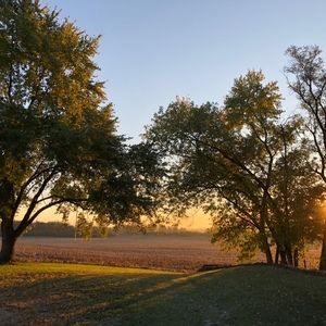 Meet your Posher, Dallas